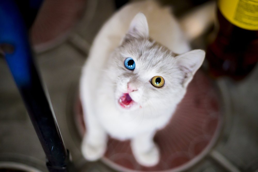 Photograph by Айзек Каниязов