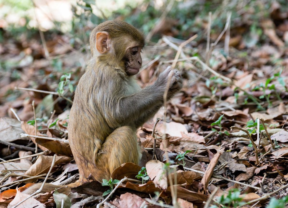 Photograph by Виктор Петров