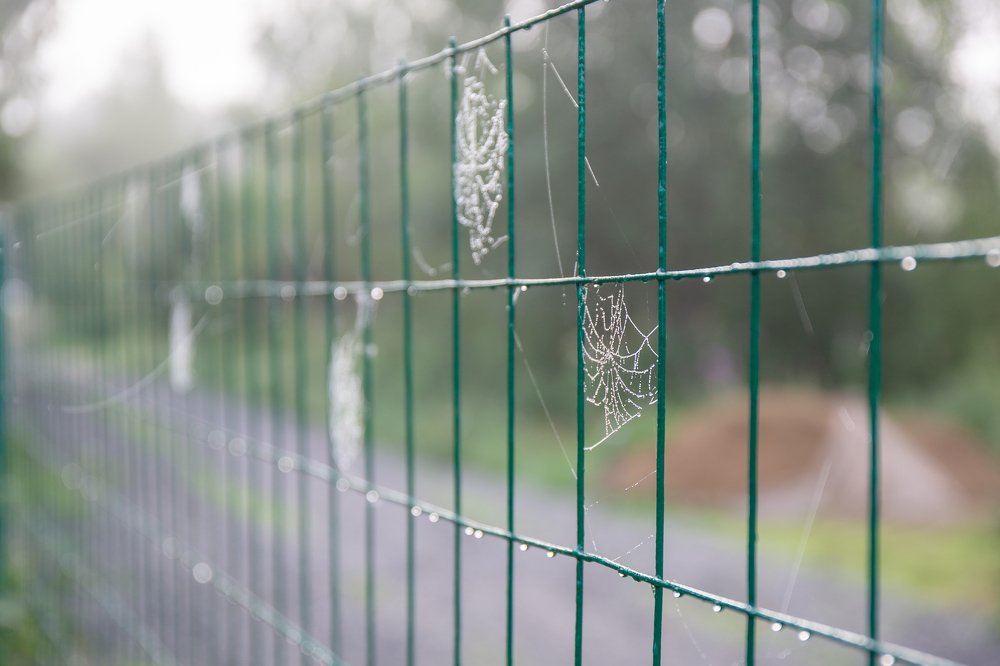 Photograph by Светлана Корнелюк