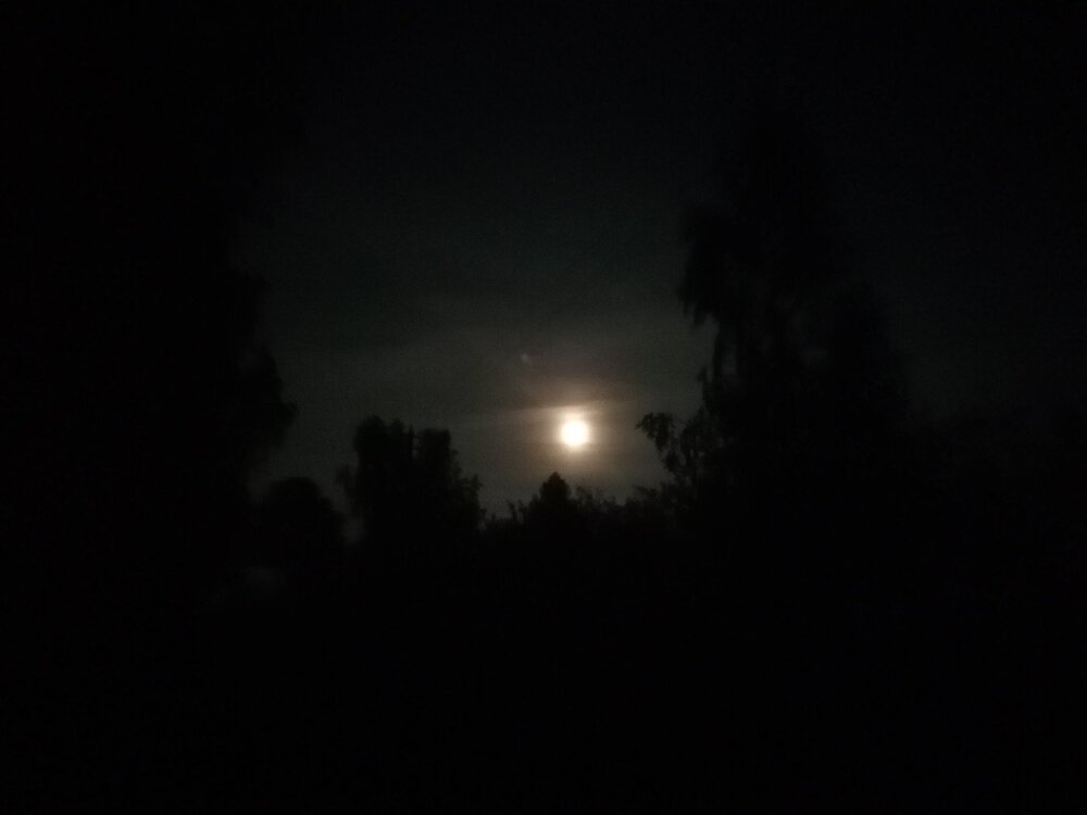 Фотография автора Оля Юхновец