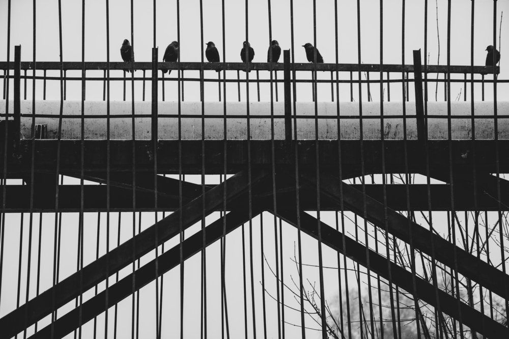 Photograph by Катерина Крутикова