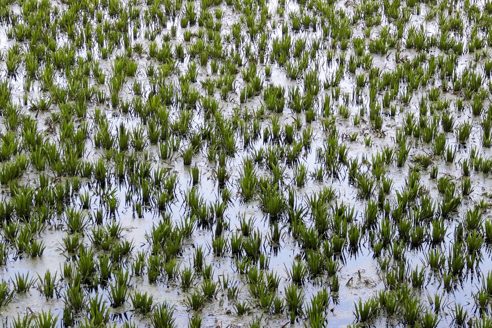 Photograph by Утёмов Сергей