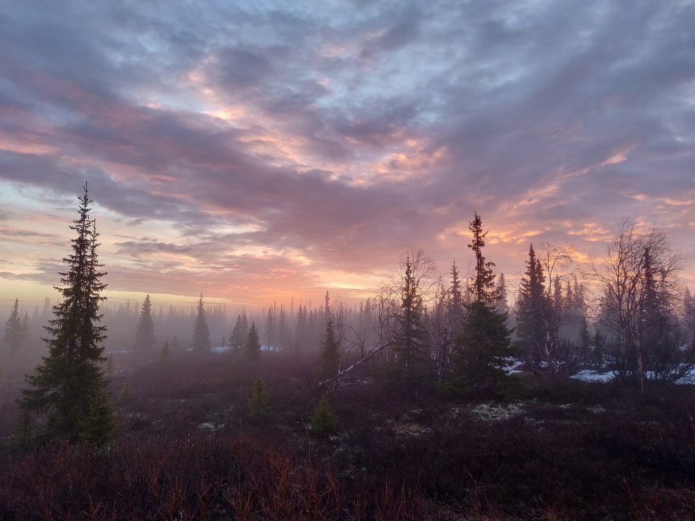 Photograph by Светлана Гусейнова