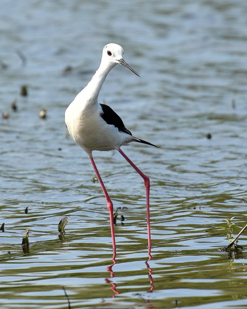 Photograph by Наталья Неверова