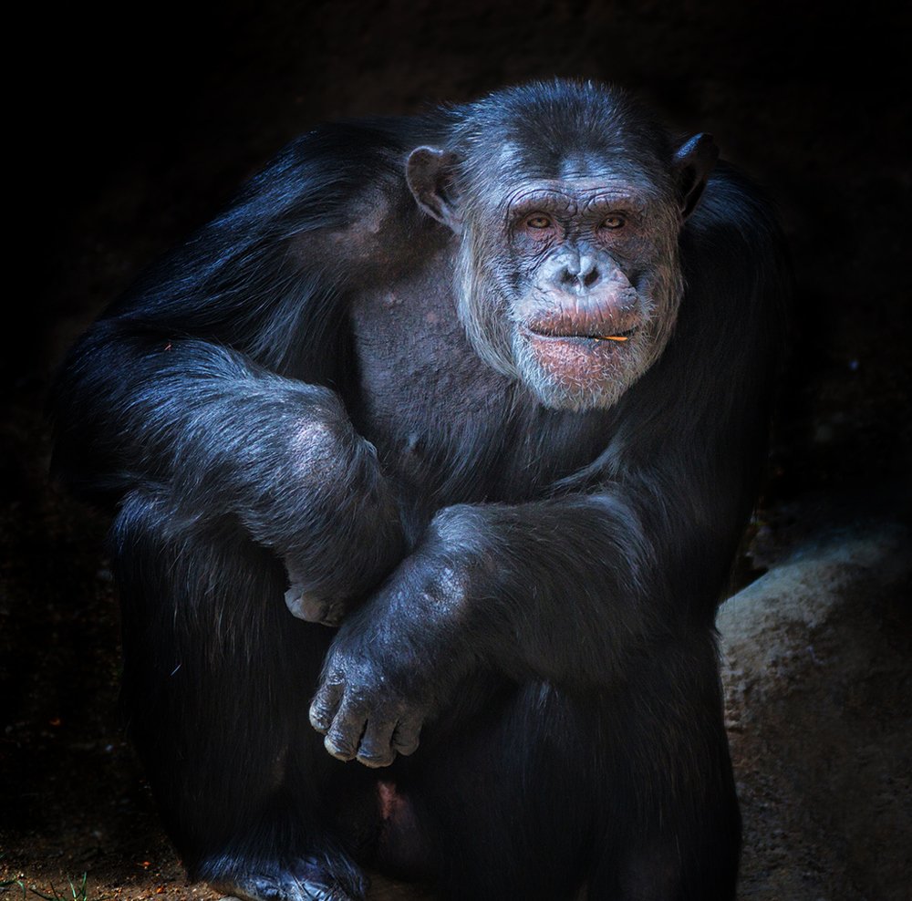 Photograph by Игорь Антипов