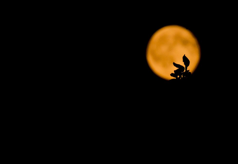 Photograph by Сергей