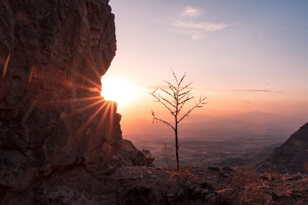 Photograph by ali yeganeh