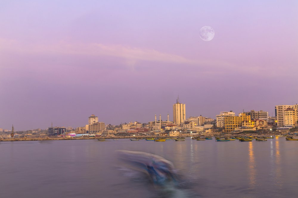 Photograph by islam ابو ابراهيم