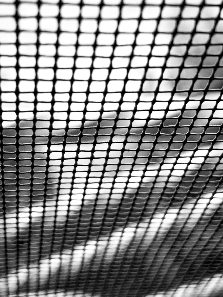 Photograph by Noor Abd ali HT