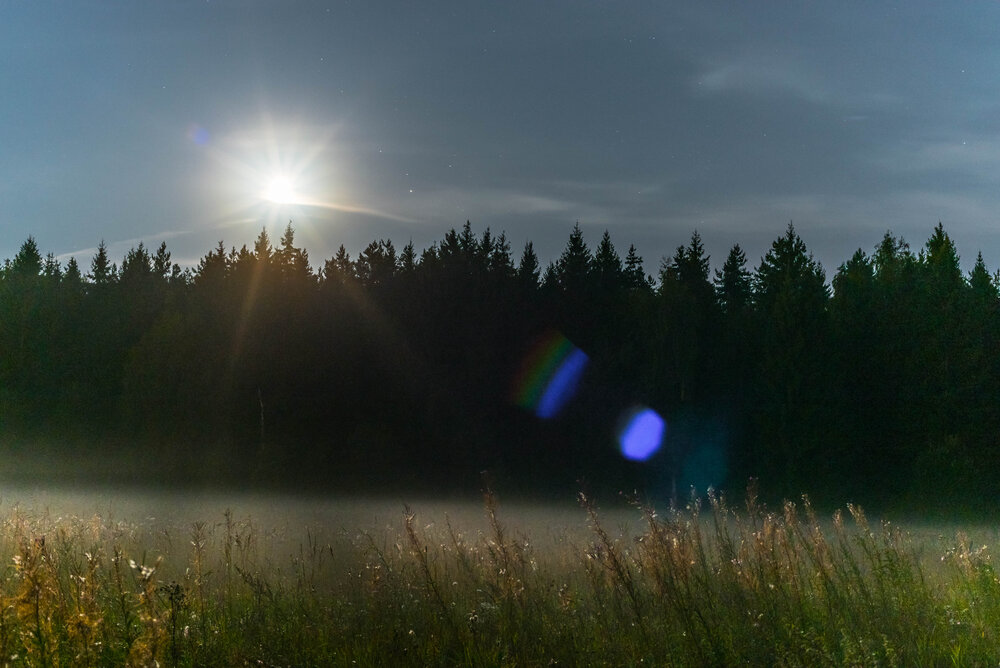 Photograph by Andrey Chernov