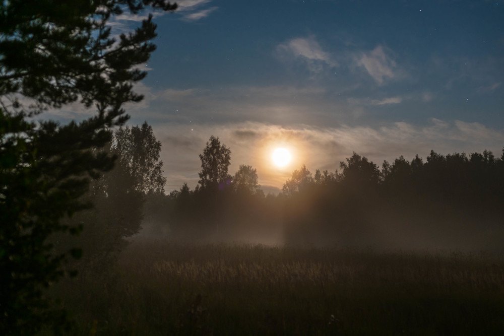 Photograph by Andrey Chernov
