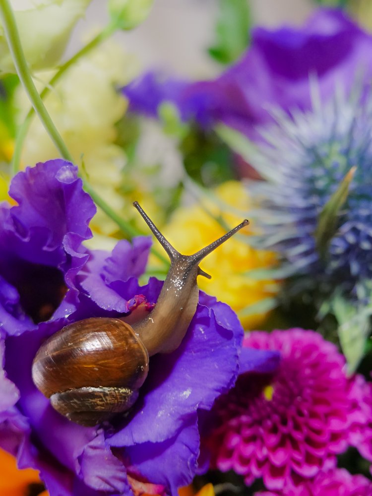 Цветные мечты (Colored dreams)