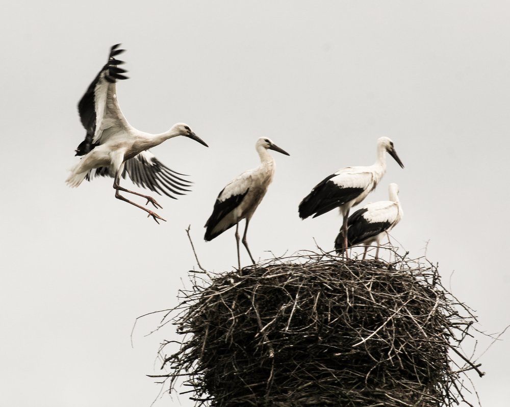 На подлёте.