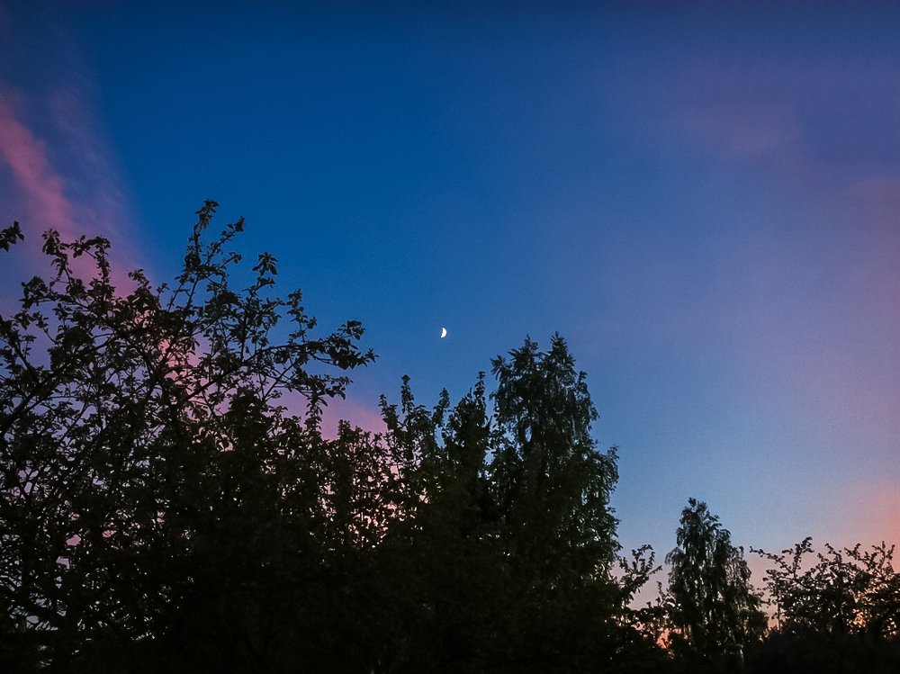 Photograph by Сергей