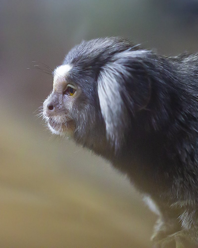 Photograph by Евгений Барзенков