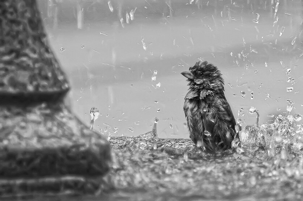 Опять полотенце забыл