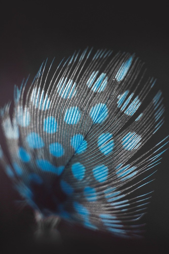 Фотография автора Дарья Воронина