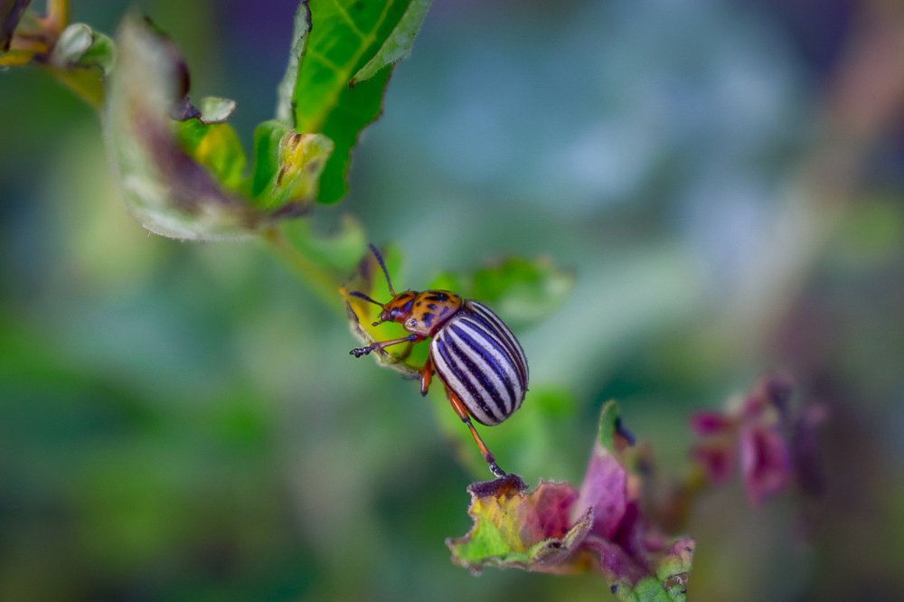 Photograph by Артём Буц