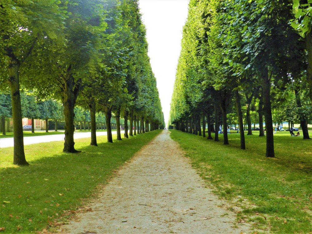 Photograph by Rosângela Verdi