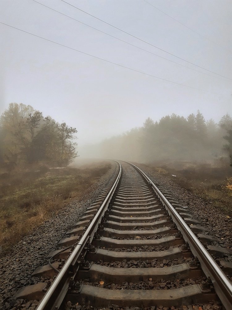 Туманная дорога