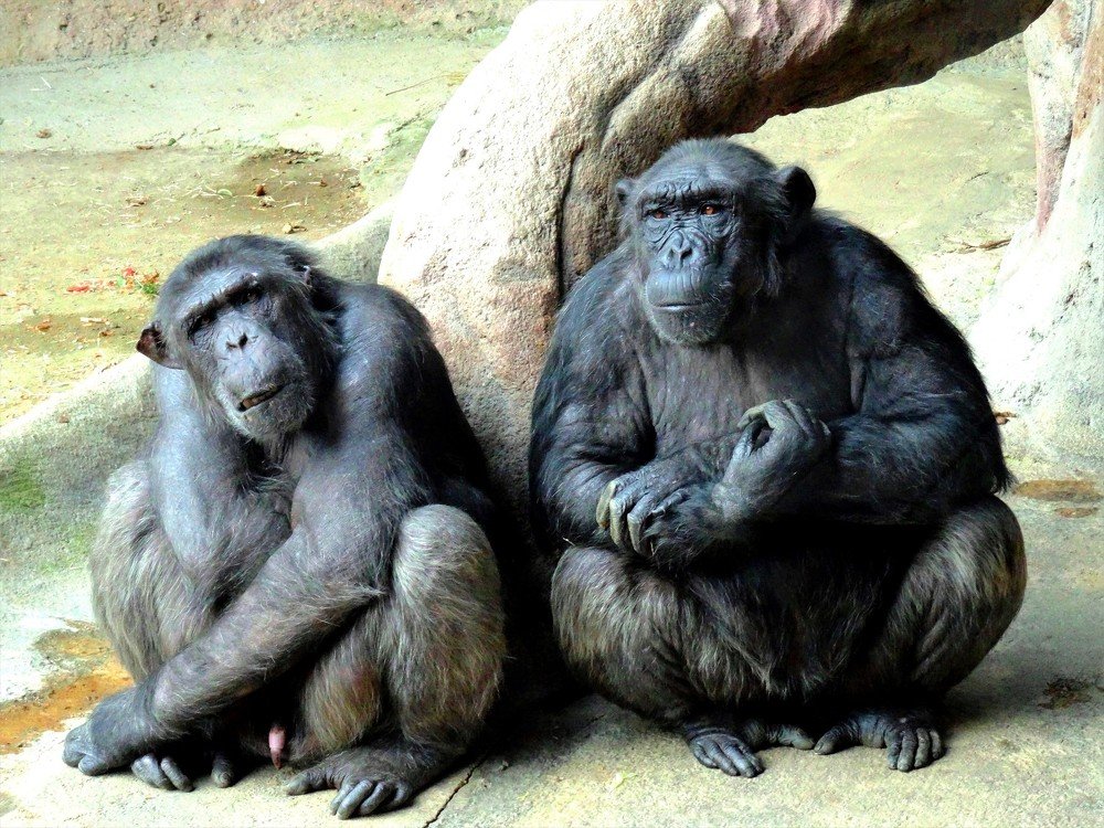 Photograph by Марина Раткун