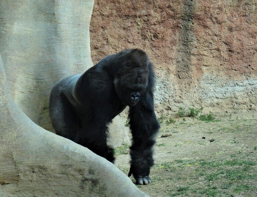 Photograph by Марина Раткун