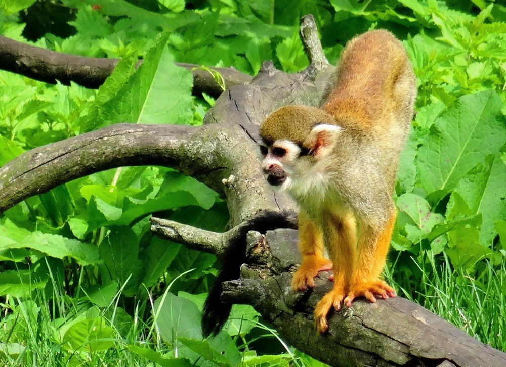 Photograph by Марина Раткун