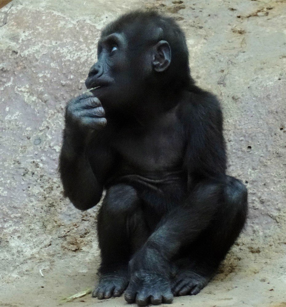 Photograph by Марина Раткун