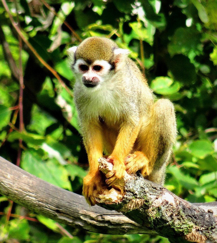 Photograph by Марина Раткун