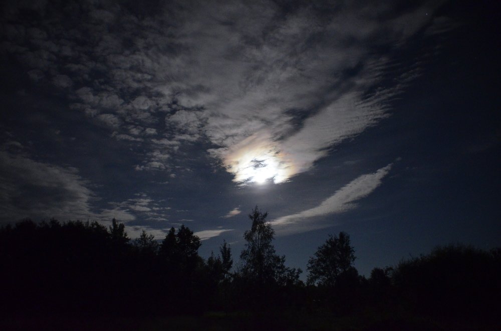 Photograph by Николай Соколовский