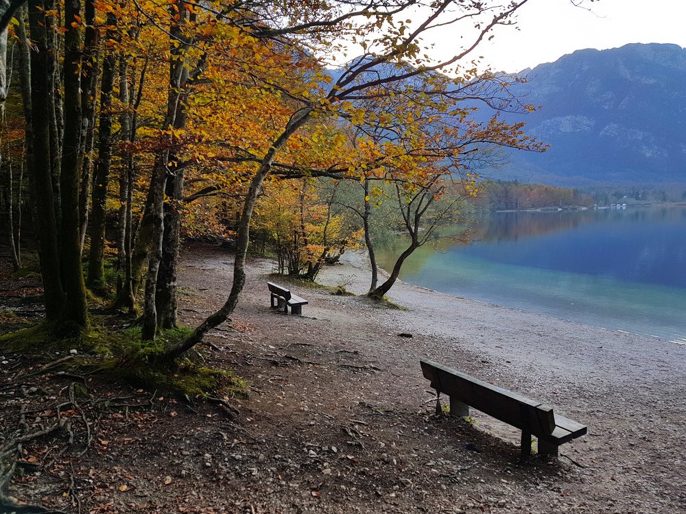 Lake Bohinj