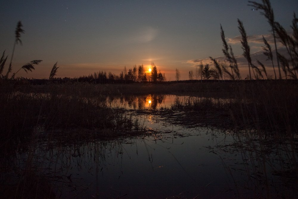 Photograph by Евгений Цветков