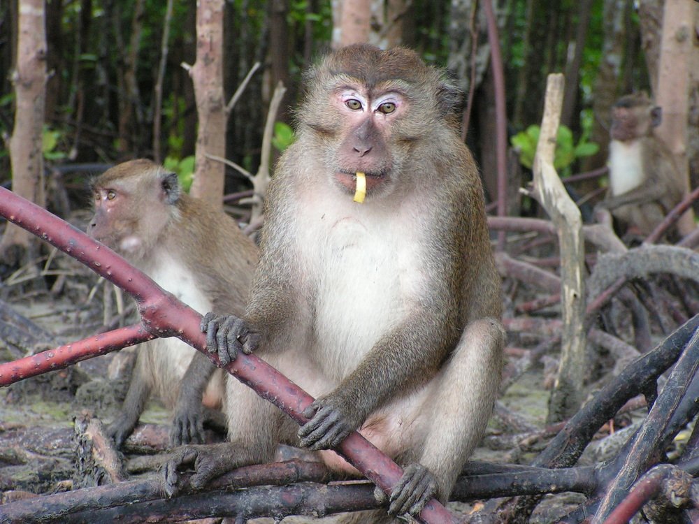 Photograph by Pucs Fongabe