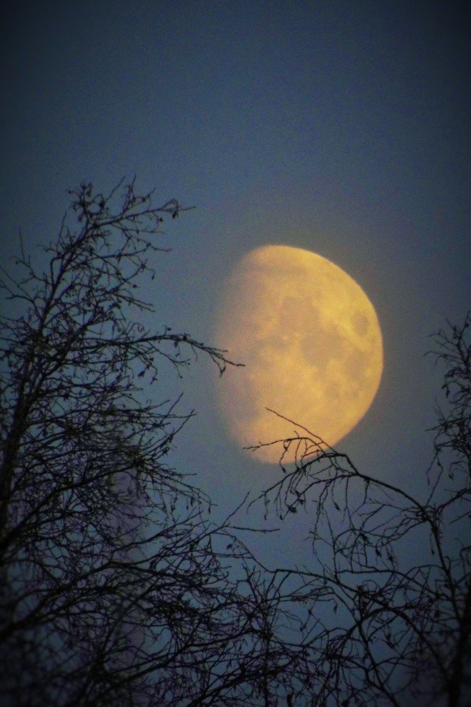 Фотография автора Виктор Конев