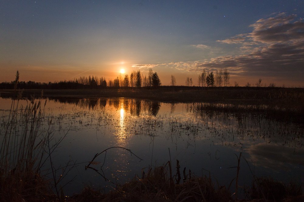 Photograph by Евгений Цветков