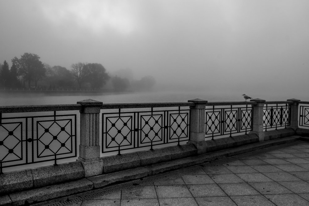 Photograph by Миленькая Наталья