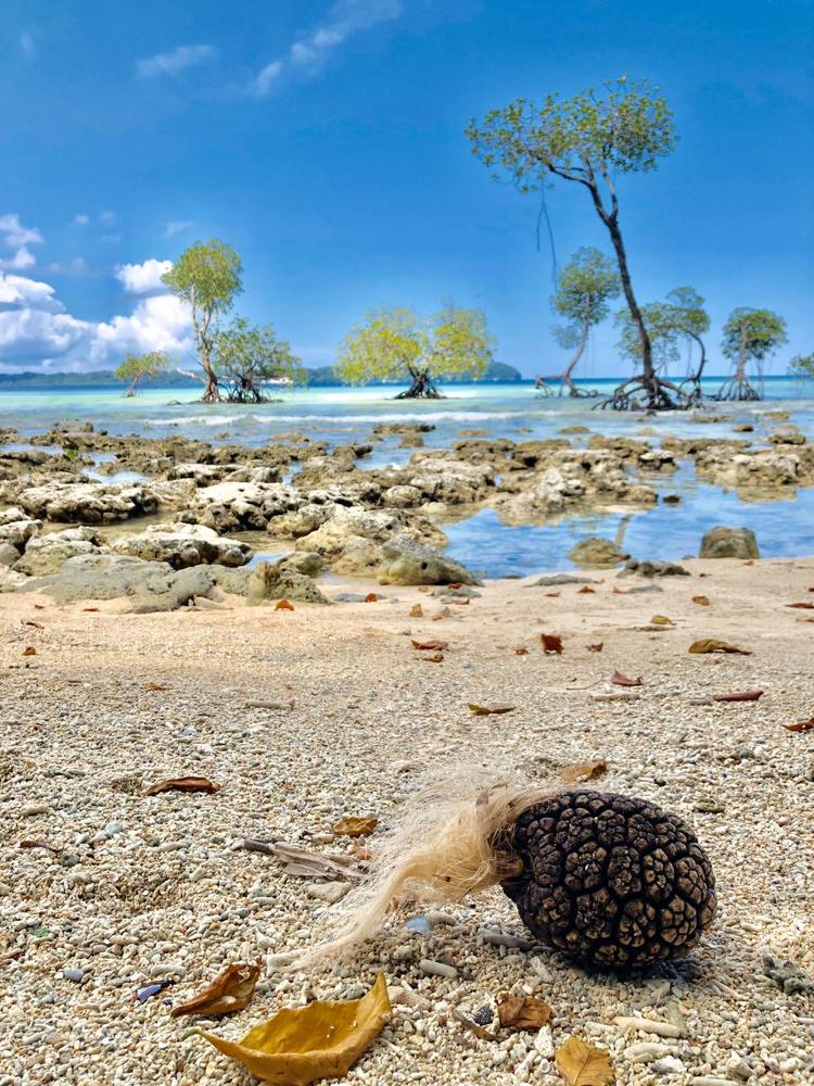 Photograph by Евгения Тимощенко