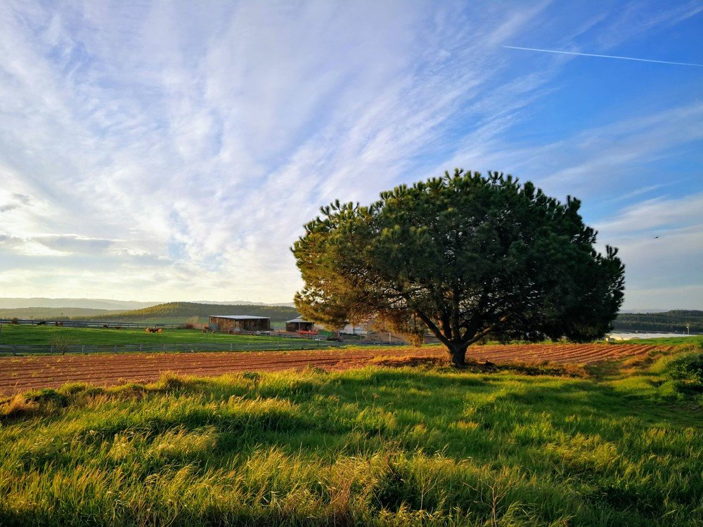 Photograph by Иван Шатный