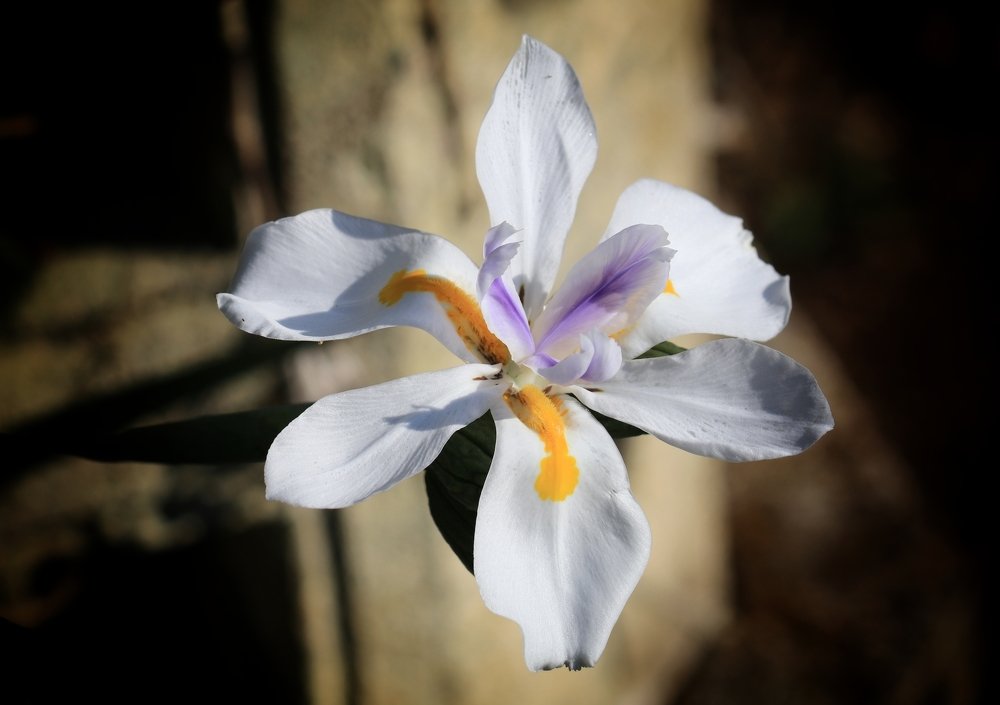 Photograph by  Edi Hidayat