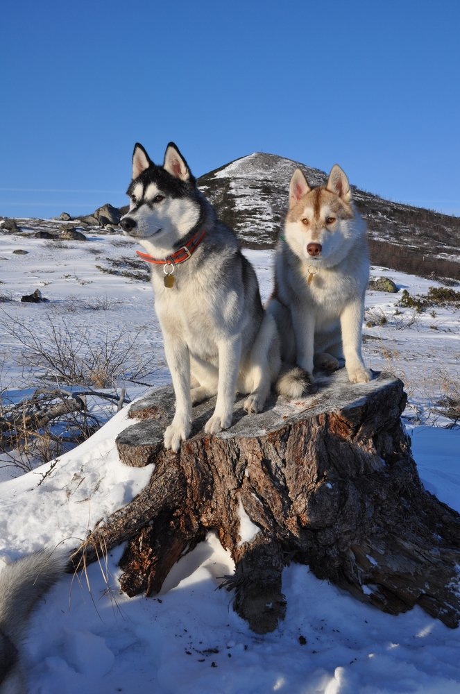 Photograph by Евгений Захаров