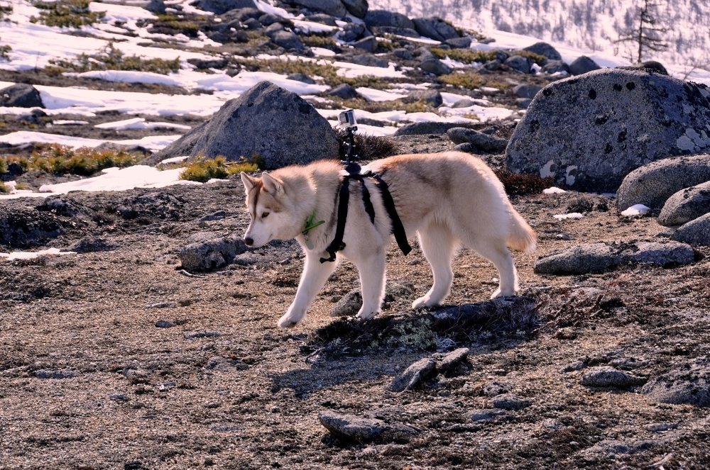 Photograph by Евгений Захаров