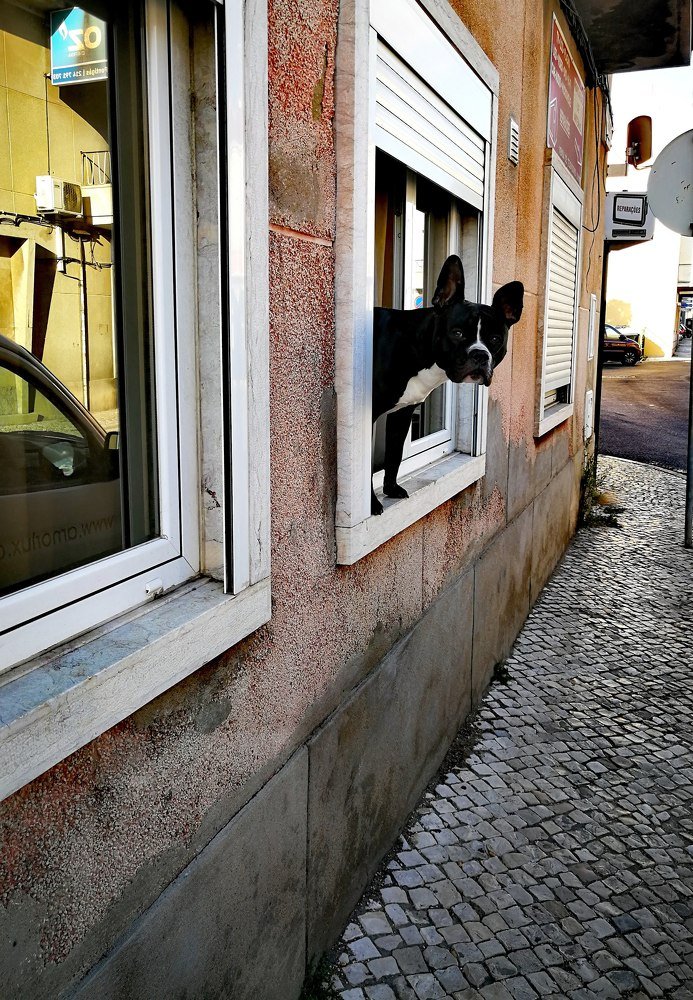 Photograph by Иван Шатный