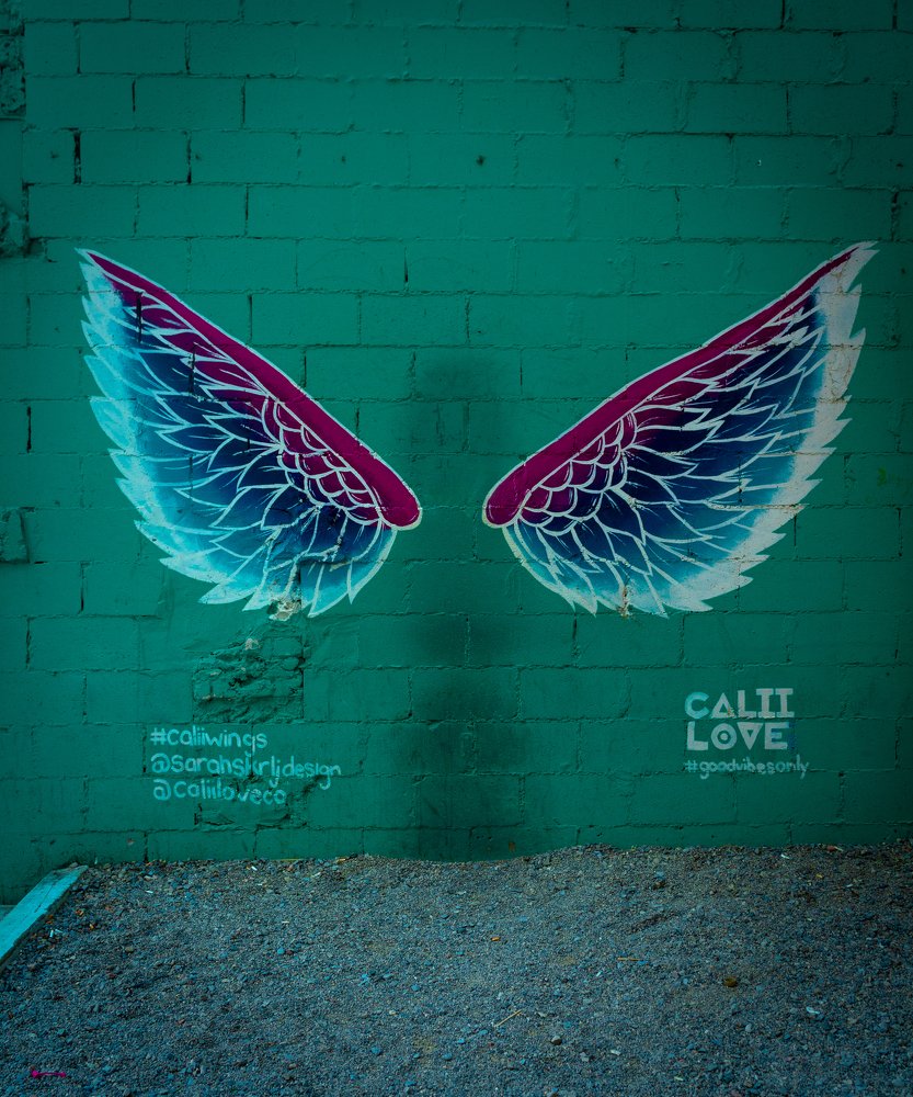 Photograph by Koel Das