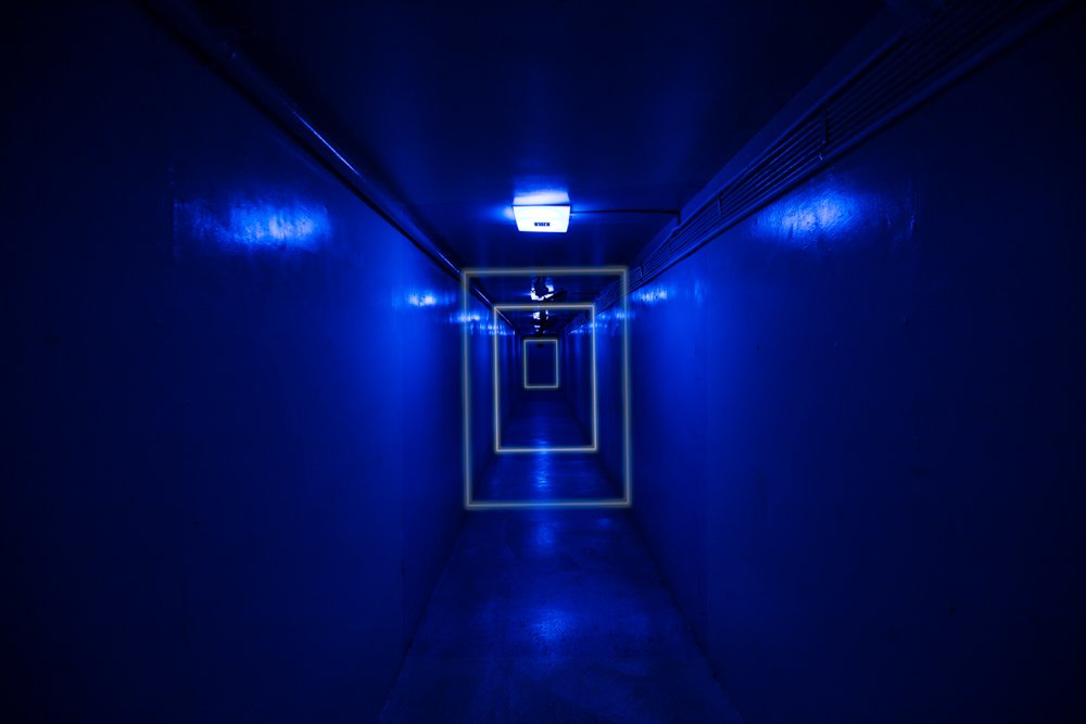 Photograph by Cường Hoàng