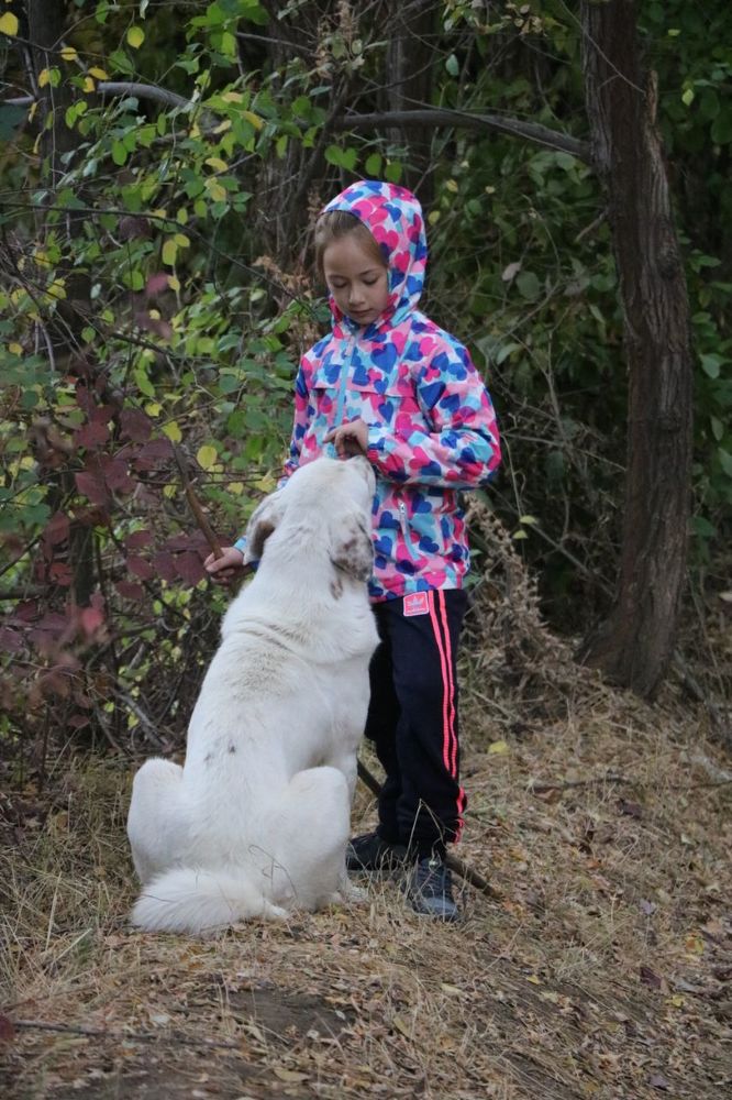 Photograph by Рамиль Бигеев