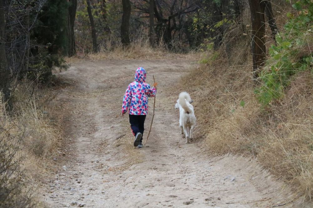 Photograph by Рамиль Бигеев