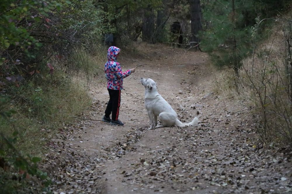 Photograph by Рамиль Бигеев