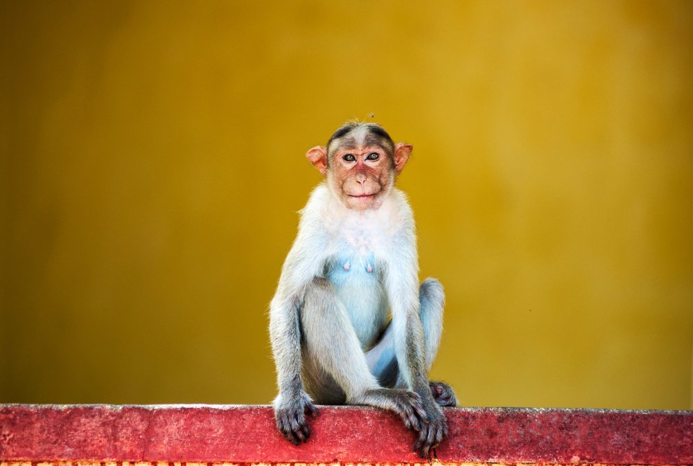 Photograph by Logesh Babu