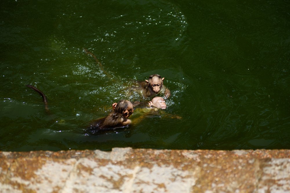 Photograph by Logesh Babu