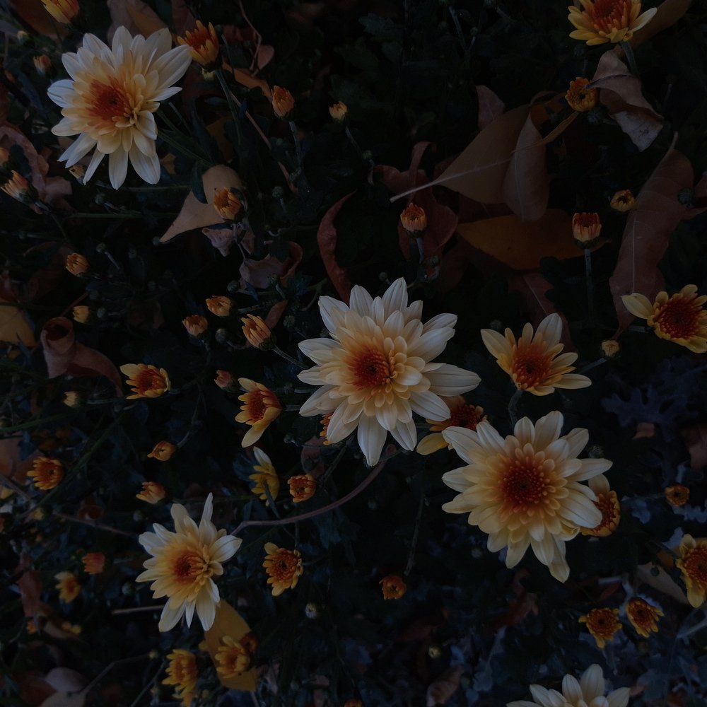 Photo #3978439